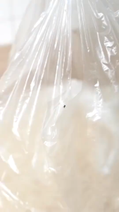 Thùng Đựng Gạo Inochi Sendai 12kg – Hộp Bảo Quản Gạo Nhựa Nguyên Sinh Kháng Khuẩn Ag+ Chống Ẩm Mốc