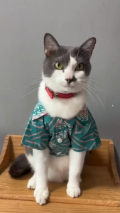 Pet Batik Shirt for Cats and Small Dogs Emerald Green Cotton Geometric Motif by Furry Finds Hub