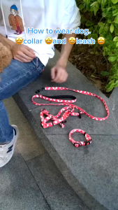 HDLKRR Leash Dog Leash Set Collar Adjustable Training Pet Safety Leash Strap Dogs Rope Pet Accessories