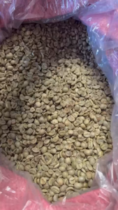 Robusta Raw Green Coffee Beans GCB S18 Washed