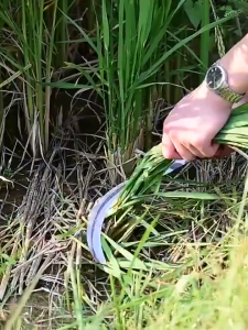 High-manganese Steel Long Handle Sickle for Repairing Branches Picking fruits wood Cutting trees