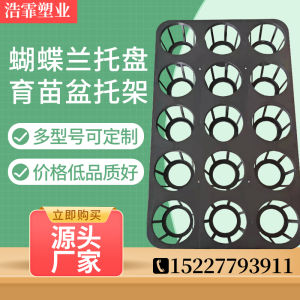Bracket 9-Hole 12-Hole 15-Hole Sprout Tray Plug Dendrobe Seedling Planting Pot Plastic Sedum Lineare Phalaenopsis Tray