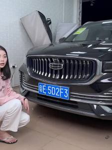 Quiet Front Grille Protection & ABS Lower Bumper Mesh Cover for Geely Monjaro 2021-2024