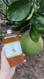 Nước ép bưởi lên men 350ml