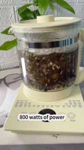 2L multifunctional health kettle glass electric kettle kitchen cooker soup health kettle soup kettle health kettle household kettle tea making kettle Teko Bunga 花茶壺