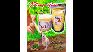 (10 Pcs Wholesale for Resellers) Magnifica Handfeed Formula for Birds 100g x 10 PCS