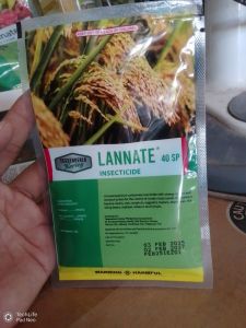 Lannate 40 SP Insecticide by Tessenderlo/ 25grams