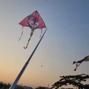 Diều Trẻ Em Thỏ Tím Baby