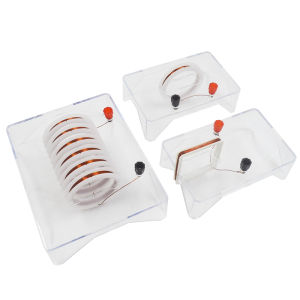 Máy Mô Phỏng Trường Từ Điện Xoay Chiều Rời Rạc Tạo Ra Trường Từ Hình Vuông Hình Vòng Cung Có Thể Chiếu Sáng Dụng Cụ Thí Nghiệm Giáo Dục