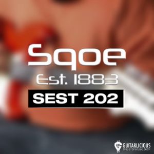 SQOE SEST202 Stratocaster Body SSS Electric Guitar  Rosewood Fretboard ( SEST / SEST-202 / ST 202 )