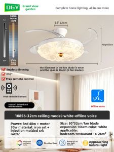 DGY | Invisible Aesthetic Fan Light Ceiling Fan