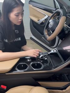 ZLWR RIDDARA RD6 หัวเกียร์เชลล์สีรถเดิมหัวเกียร์ฝาครอบป้องกันป้องกันรอยขีดข่วนและทนต่อการสึกหรออุปกรณ์ตกแต่งภายในรถยนต์