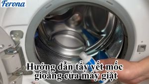 Chất tẩy mốc gioăng cao su cửa máy giặt Ferona 100g  tẩy sạch vết mốc trên cao su cửa máy giặt tiện dụng