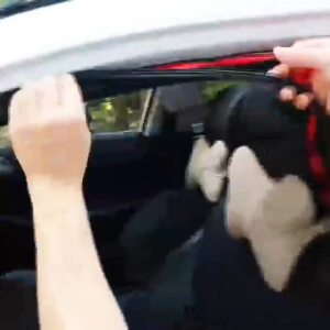 ยางติดเสริมขอบประตูรถ ยางกันเสียงรถยนต์ D-shape พร้อมกาว3Mในตัว กันเสียง กันกลิ่น กันฝุ่น กันน้ำ