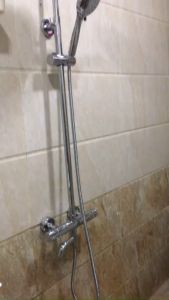 SEN CÂY NHIỆT ĐỘ TRÒN GS 7428