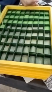 【DE F&B】Pakai Semula Bekas Kuih Tepung Pelita | Kotak Daun Pisang Mould Kuih Hijau Green Box Cake