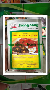 (Gói 5gr-20gr) Hạt Giống Hoa Cúc Đà Lạt TN 169 TRANG NÔNG - Hoa màu đỏ hồng trắng tím