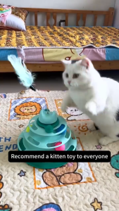 Cat Interactive Toy Turntable Tower 4-Tier Automatically Tease Cat Self-Hey Pet Supplies Toy