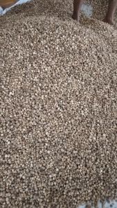 Kapulaga Kering 250gr: Bahan Herbal Berkualitas Untuk Diet & Kesehatan