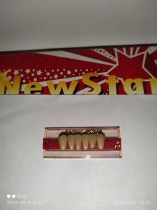 Gigi tiruan Anterior Lower New star