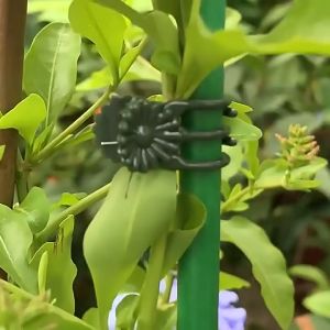 Klip Penjepit Batang Tangkai Anggrek 1.5cm Orchid Clip Support 100pcs Jepitan tanaman