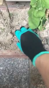 SARUNG TANGAN BERKEBUN LATEK WATERPROFF FULL CAKAR KIRI DAN KANAN