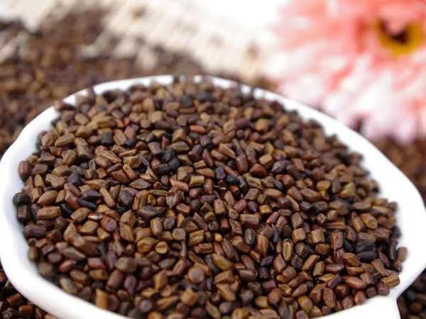 100gr Herbal Jue Ming Zi 决明子 Semen Cassiae Foetid Cassia Seed Seeds Semen Cassiae Cassia Tea Clear Liver Improve Vision