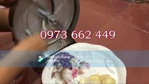 Máy thái lát măng bào hoa chuối bắp cải làm nộm thái hành tỏi sả ớt sung tắc làm nước chấm ...