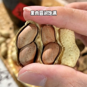 陈皮味花生350g 香脆休闲零食 传统风味小吃  Dried Tangerine Peel Flavored Peanuts – Crispy Chinese Snack