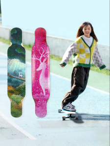 DBH | Beginner All Ages Longboard