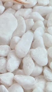 สินค้าส่งเร็ว Xixi Eye Shadow Pen อายแชโดว์แบบแท่ง ทาตา ไฮไลท์ ดอลลี่อาย สีวาว ติดทน No.D-401