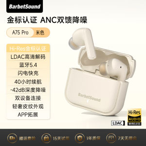 BarbetSound A75Pro Active Noise Reduction Wireless Bluetooth Earphones Golden Standard High Sound Quality In-Ear Headsets