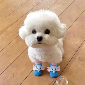 Petone dOrage | Non-slip Waterproof Breathable Dog Shoes