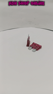 Fuse tancep 40A besar - sekering dc 40A jual per 10 pcs