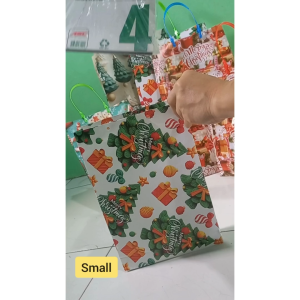 10 pcs Assorted Glossy Paper Christmas Gift Bag