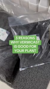 Vermicast (5kg x 4 Bundle) by Plant Culture PH
