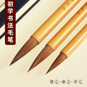 Professional Calligraphy Brush Set Large Medium Small Bamboo Wolf Hair Sheep Hair Professional Grade Chinese Painting Brushes for Beginners