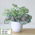 Bó Hoa Nhựa Giả Màu Xanh Lá Cây Giả Bó Hoa Nhựa Giả Nhỏ Bó Hoa Nhựa Giả Bó Hoa Xanh Lá Cây Bó Hoa Cỏ Nhựa Trang Trí. 