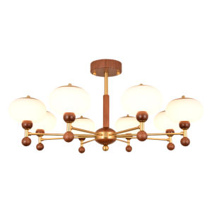 DGY | Antique Retro Eye-protecting Living Room Light