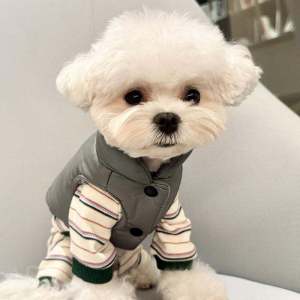 Autumn Winter Pet Striped Four-Legged Suit Teddy Elastic British Style Home Clothes Bichon Schnauzer Pomeranian Horse Cat Dog