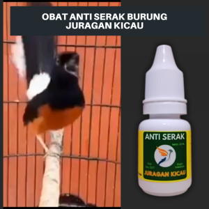 Obat Anti Serak Burung Herbal Juragan Kicau Untuk Semua Burung Serak Lendir Batuk