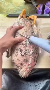 Electric Meat & Poultry Tools: Efficient Chicken Hair Remover & Automatic Duck Hair Removal