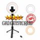 GADGETSTOREID