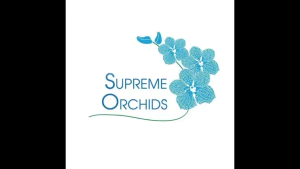 เชื้อราป้องกันโรคพืช ไตรโคเดอร์มา Trichoderma ชนิดเชื้อสด  มีประสิทธภาพสูง ปลอดภัยต่อสุขภาพ ไม่ทำลายสิ่งแวดล้อม 250 กรัม