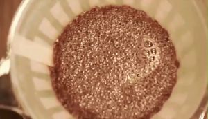 Blumey กระดาษกรองกาแฟ กระดาษดริป และกากกาแฟสกัดเย็น มีแบบรูปตัววี  และ แบบกลมcoffee filter paper