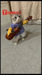 Cat Clothing Pets Cute Costumes Kitty Kitten Puppy Costume Suits Dressing Up Party Clothes