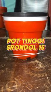 Paket Murah Lusinan Pot Tinggi Srondol 15 & Variasi Ukuran