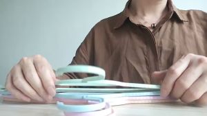 ROCO Anti Skid Cloth Hanger Penyangkut Baju Coat Shirt Skirt Pants Drying Hanger Racks Clothes Organizer 衣架