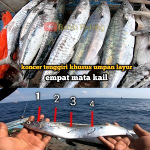 koncer tenggiri/barracuda buatan papa barra khusus umpan layur kail empat