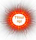timur api